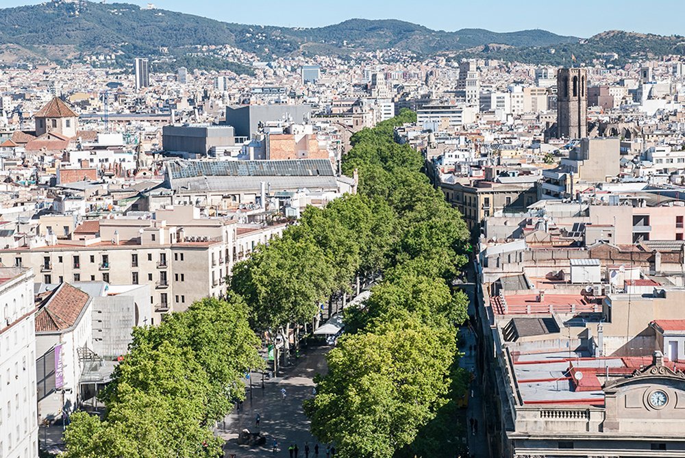 Safári urbano - Barcelona, Espanha