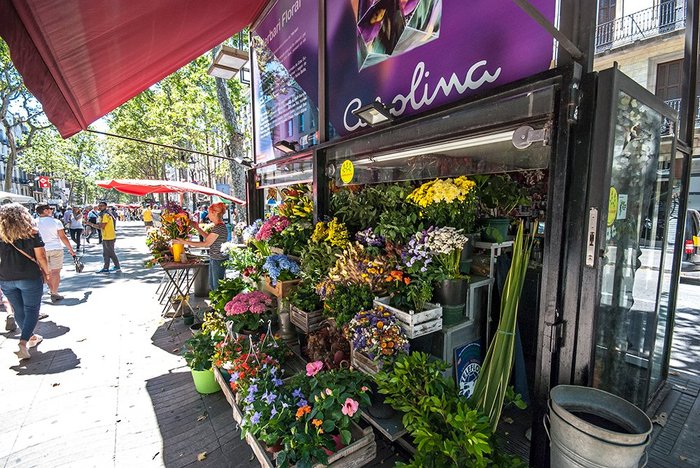 Imagen 5 de Las Ramblas