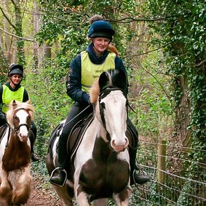 horse riding trips in yorkshire