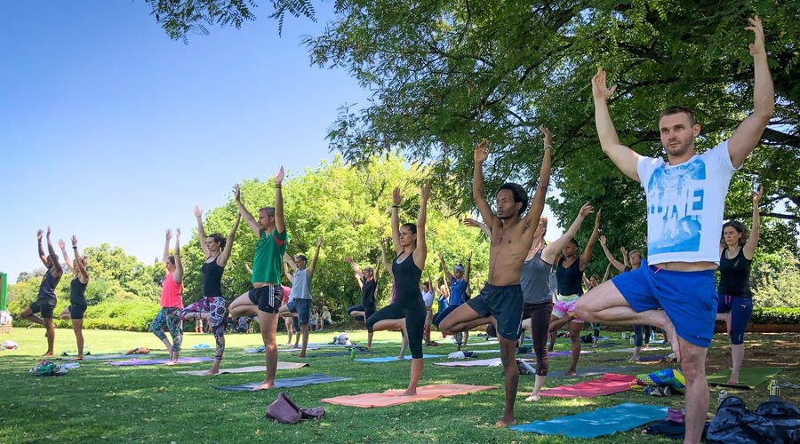 tree pose in between the trees in the park