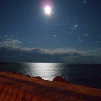 展望台から見た月明かり