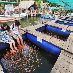 The 10 Best Things To Do In Colombo 21 With Photos Tripadvisor Must See Attractions In Colombo Sri Lanka The 10 Best Things To Do In Colombo 21 With Photos Tripadvisor Must See Attractions In Colombo Sri Lanka