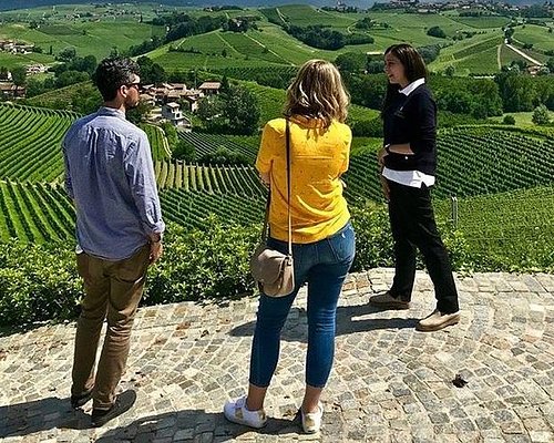 barolo wine tours vineyards