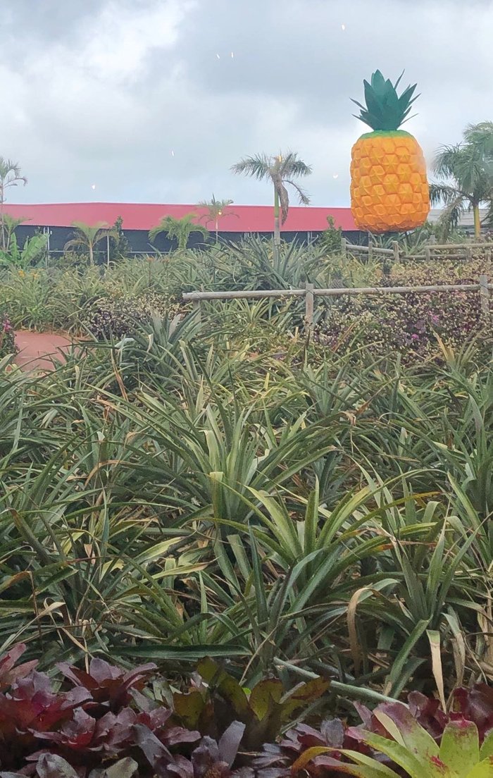 PINEAPPLE HOUSE (Motobu-cho, Okinawa Prefecture, Japon) - tarifs 2025