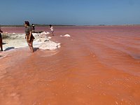 The Pink Sea of Colombia (El Salar de Galerazamba)