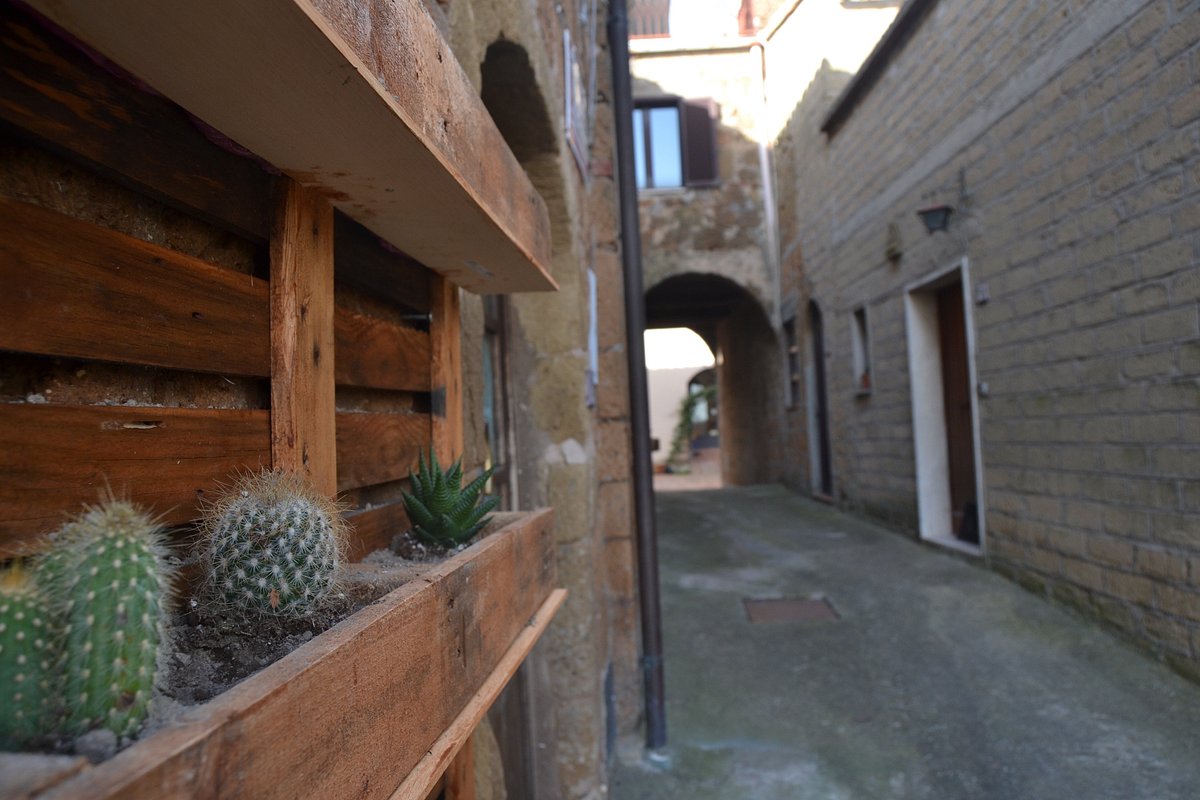 Notti Etrusche a Sovana, Sovana – Updated 2024 Prices