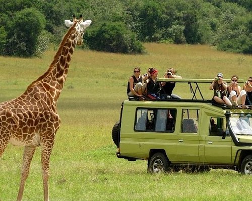 trust tours and safaris company tanzania