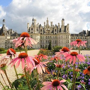 Château de Chambord - All You Need to Know BEFORE You Go (2024)