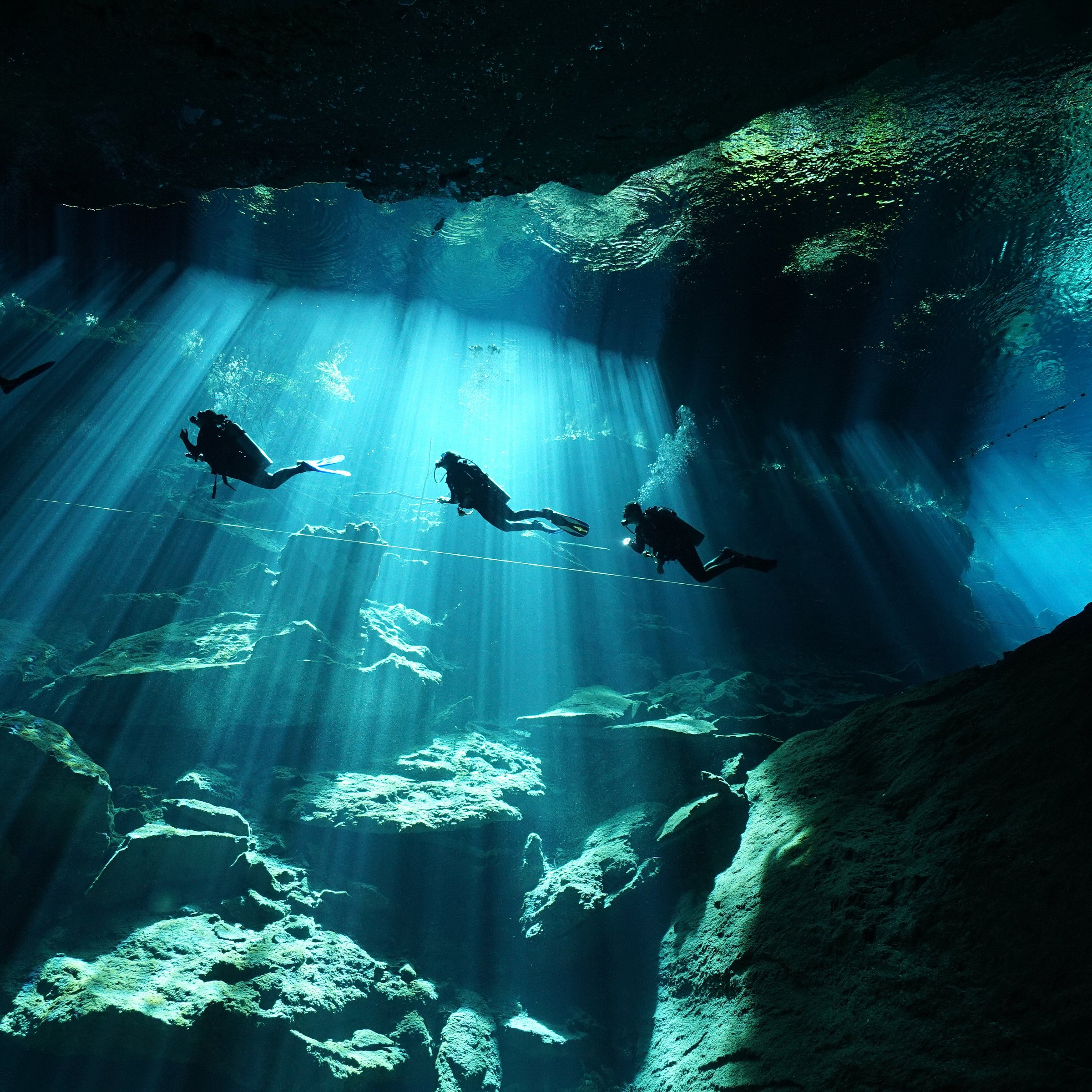 playa del carmen diving center