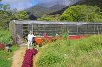 Jalan Jalan Di Negeri Sabah Mesilau Highland Strawberry Farm Best Of Kundasang Youtube