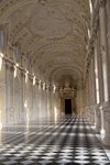 Venaria Reale-NEC REPOPULATES LA VENARIA REALE…