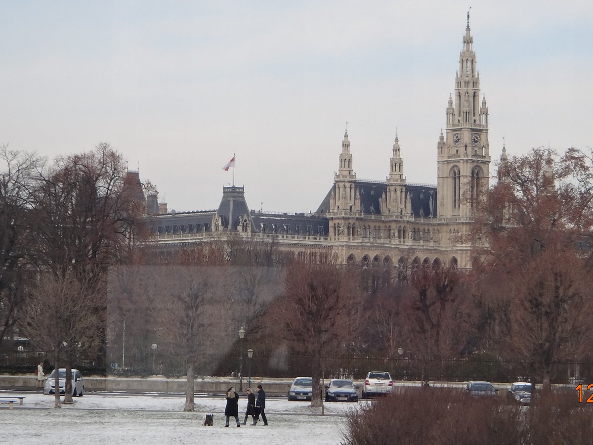 red bus city tour vienna