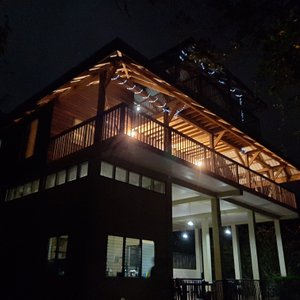 Jungle Nights and Star gazing..