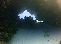Scuba Mau (Cozumel) - All You Need to Know BEFORE You Go