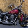 NapsterHarley