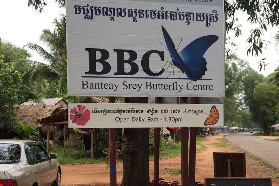 Banteay Srey Butterfly Centre image