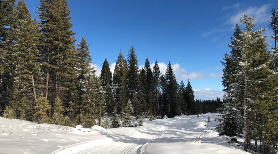 This is pretty typical weather and conditions are our club. :) Photo: Barb Matfin