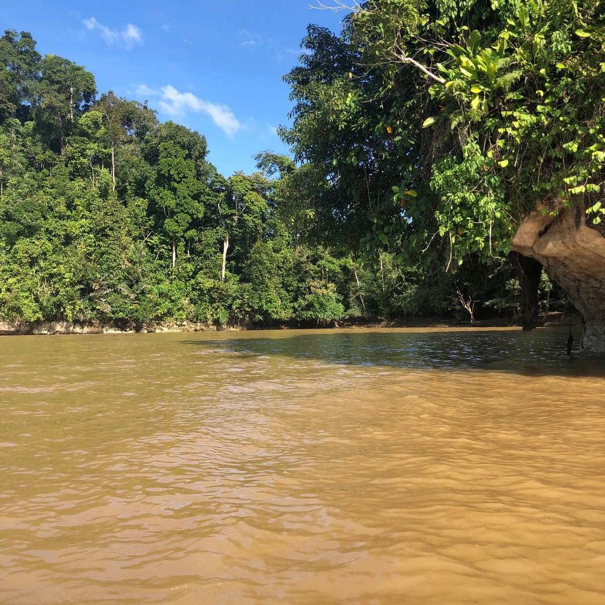 SEPILOK NATURE LODGE (FORMERLY KNOWN AS SEPILOK NATURE RESORT ...