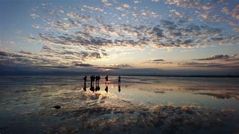 Niedersaechsisches Wattenmeer National Park (Jemgum): All You Need to Know