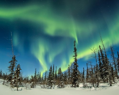 THE 15 BEST Things to Do in Churchill - 2024 (with Photos) - Tripadvisor