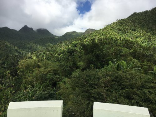 El Yunque National Forest review images