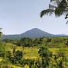 Balione Vacation