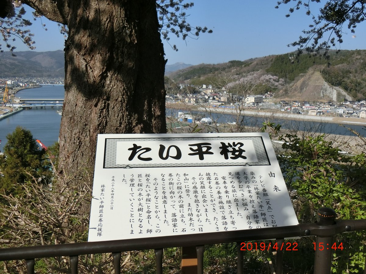 22年 たい平桜 行く前に 見どころをチェック トリップアドバイザー