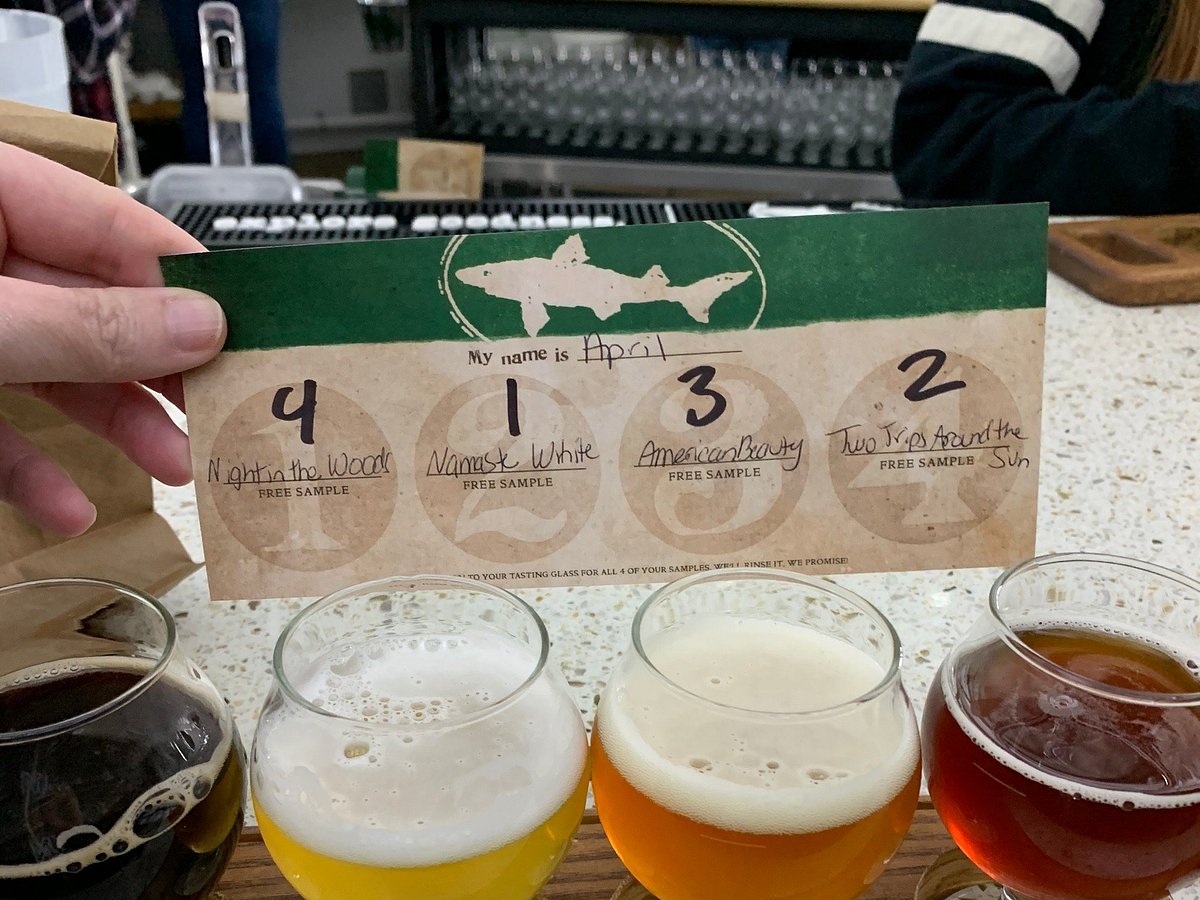dogfish brewery tour