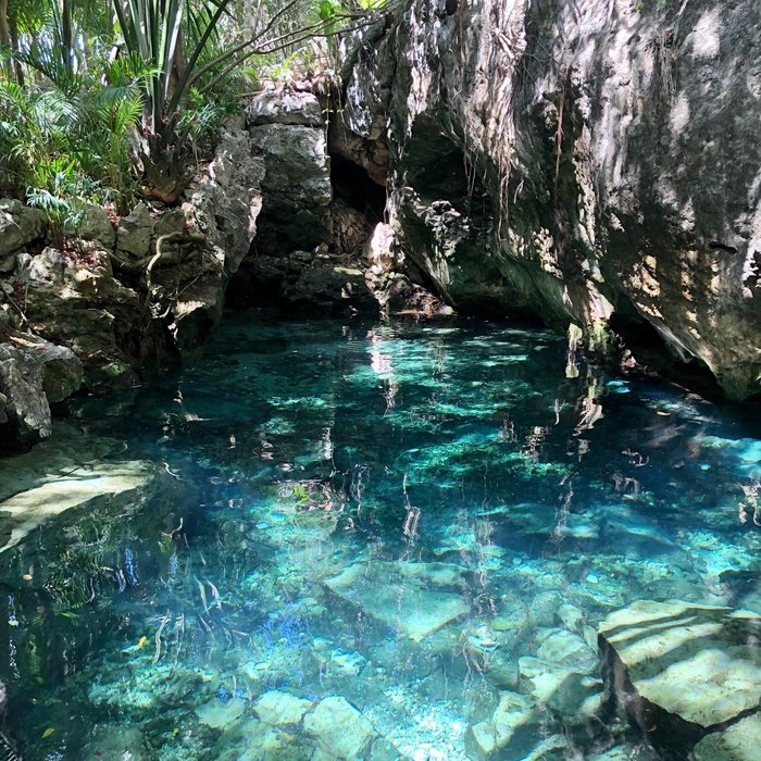 CENOTE PRIVADO - Specialty Inn Reviews (Riviera Maya/Playa del Carmen ...