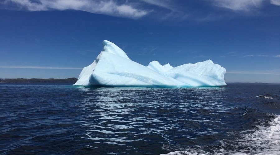 Iceberg 