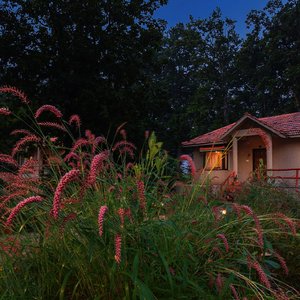 AC Cottage Outsisde