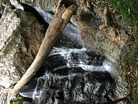 Stoney Creek Falls (Cairns) - All You Need to Know BEFORE You Go (with  Photos) - Tripadvisor