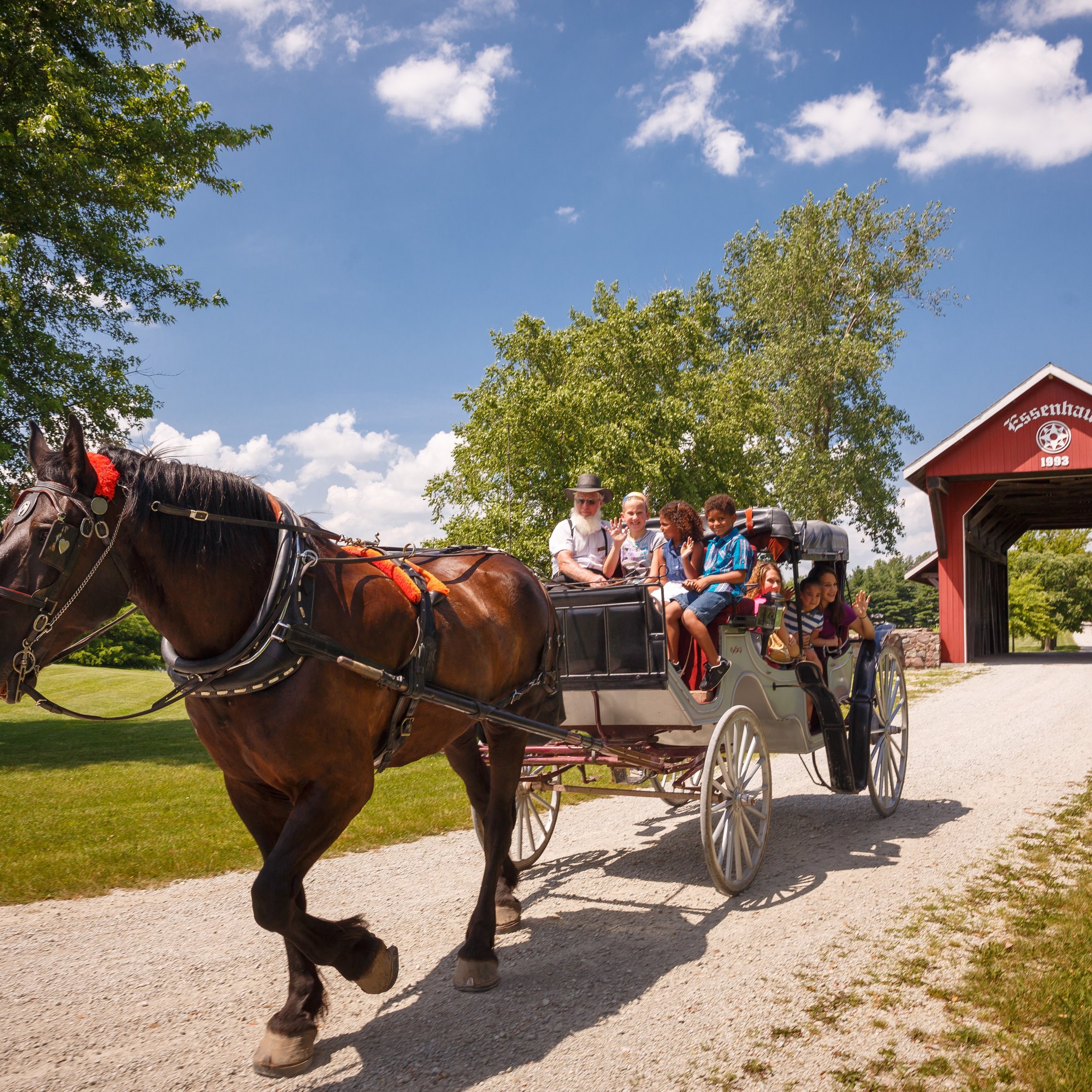 Essenhaus Carriage Rides (Middlebury, IN): Hours, Address - Tripadvisor