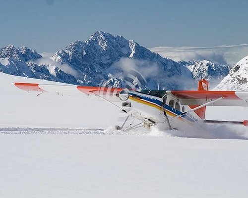 mt cook trip