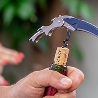 Borkóstolók Maczkó Robival - Foglalj asztalt hétvégére!