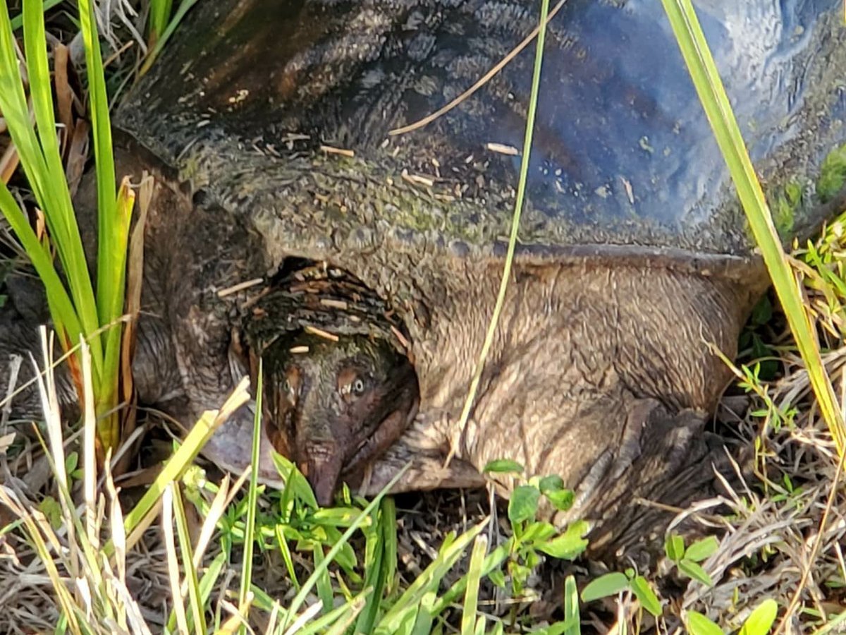 Garl's Coastal Kayaking Everglades - All You Need to Know BEFORE You Go ...