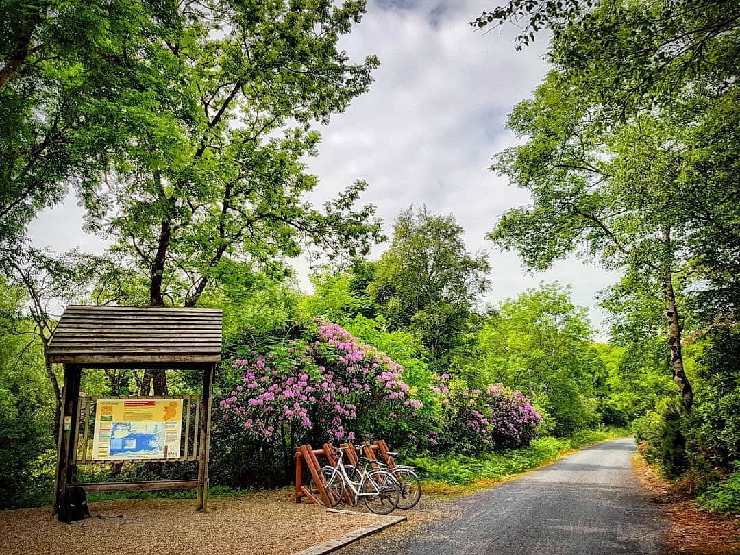 mulranny bike hire