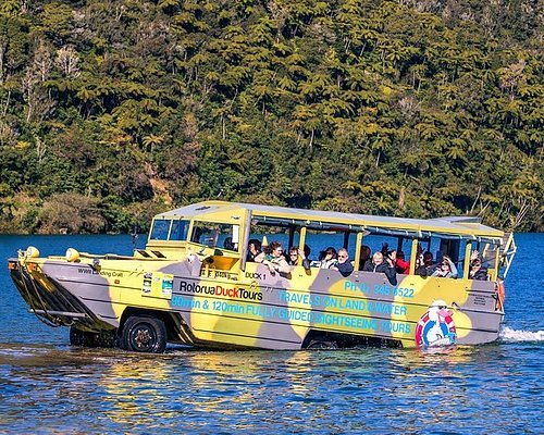 tauranga boat cruises