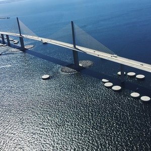 are dogs allowed at tampa bay walking bridge