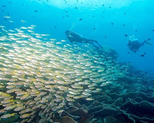 scuba diving trips in philippines
