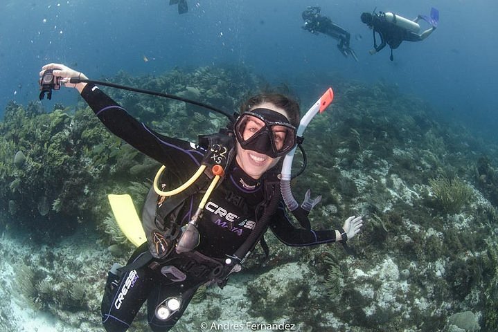 PADI Scuba Diver - Squalo Divers Scuba Diving Cancun