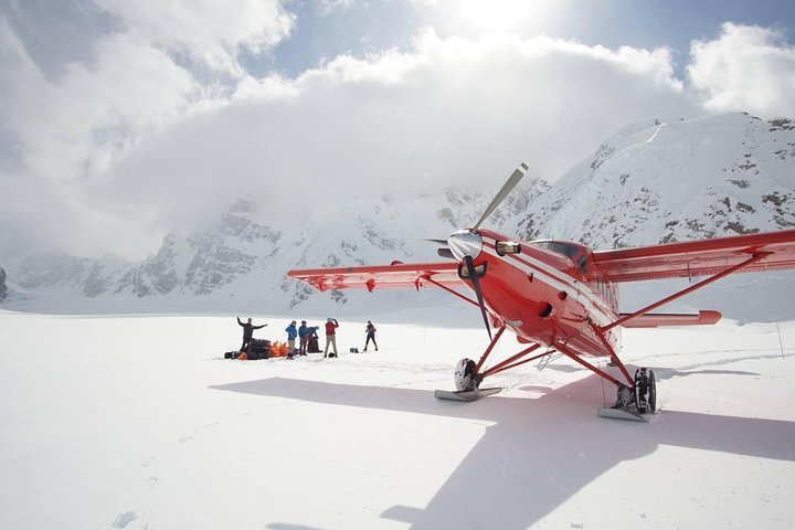 2023 Denali Experience Flightseeing Tour from Talkeetna