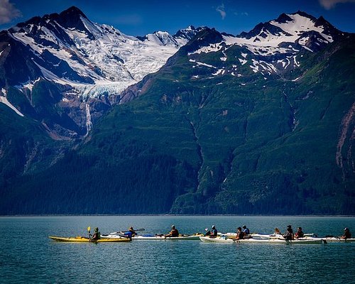 carnival excursions haines alaska