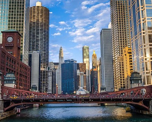 chicago daily tours
