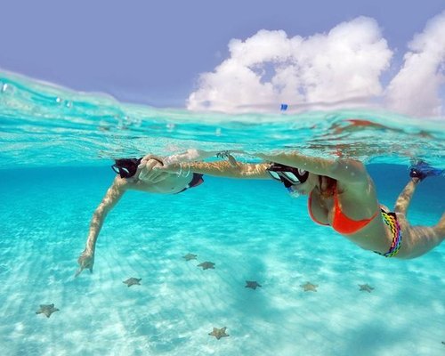 THE 10 BEST Cozumel Eco Tours (Updated 2023) - Tripadvisor