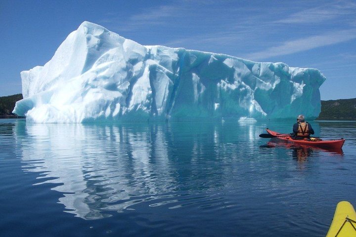 THE 10 BEST Newfoundland Tours Excursions For 2024 With Prices   Caption 