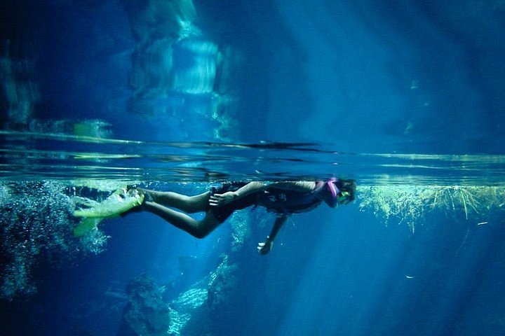 Tripadvisor | Tour de buceo de superficie en Cozumel desde Playa del Carmen  proporcionado por Pro Dive Mexico | México