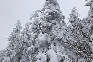 旅行者の写真