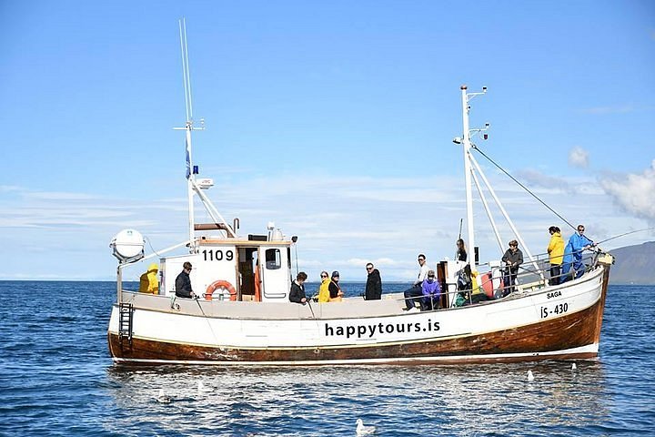 Reykjavik: tour gastronomico di 3 ore di pesca in mare