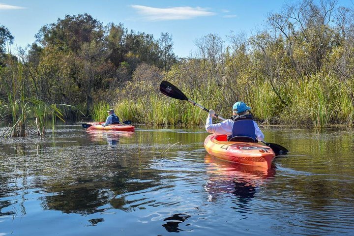 Mid-Morning Kayak Tour | Everglades City, FL